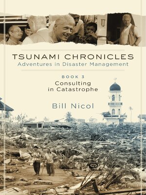 cover image of Consulting in Catastrophe